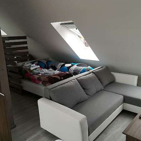 ברדיוב Centrum Apartman S- Dom מראה חיצוני תמונה