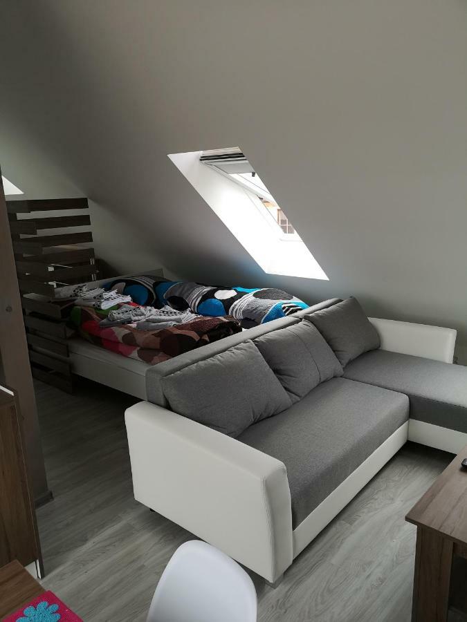 ברדיוב Centrum Apartman S- Dom מראה חיצוני תמונה