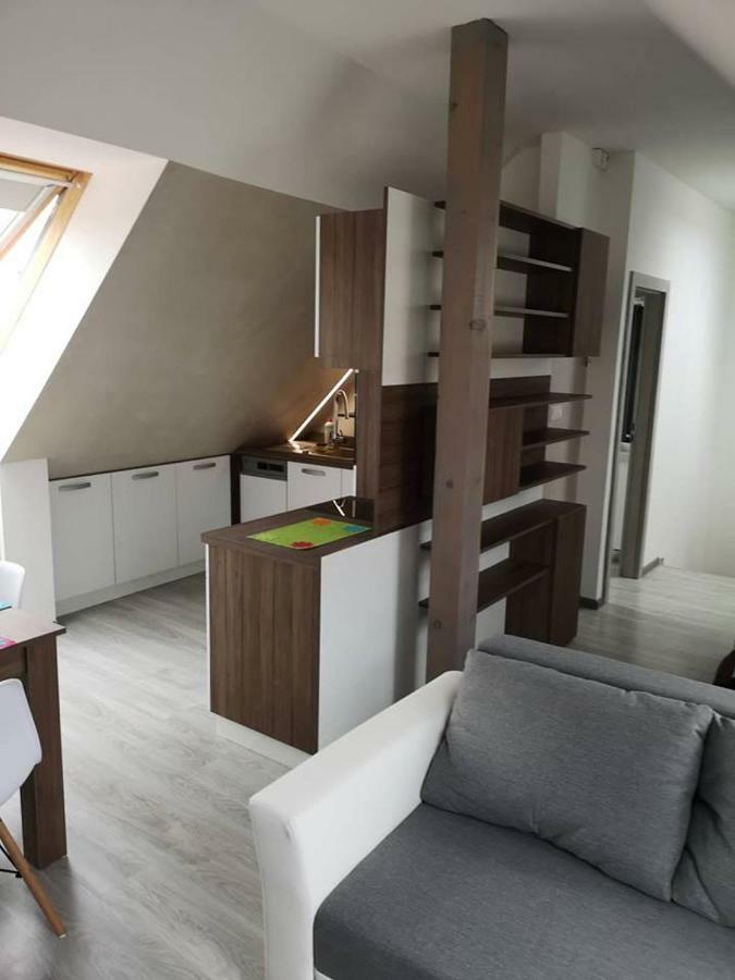 ברדיוב Centrum Apartman S- Dom מראה חיצוני תמונה